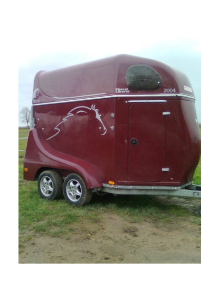 RÉVISION VAN