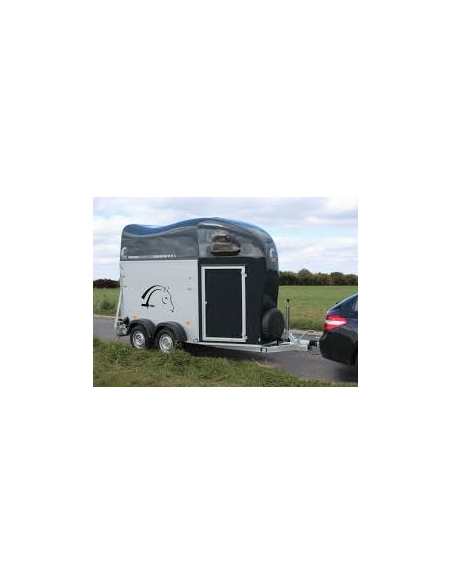 RÉVISION VAN