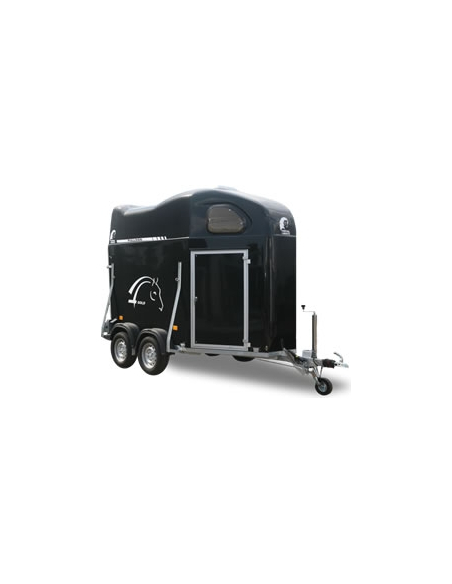 RÉVISION VAN