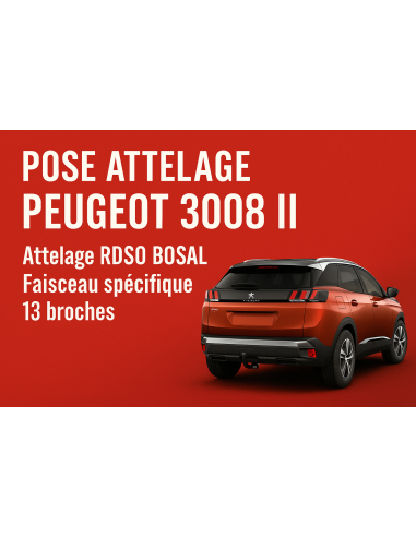 Pose d'attelage démontable sans outils (RDSO) BOSAL
Faisceau spécifique 13 broches aux normes constructeur AMD JAEGER